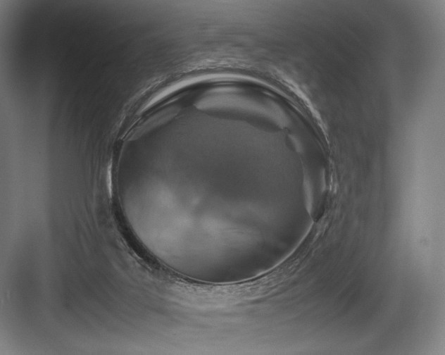 X0000083660019200702121228
