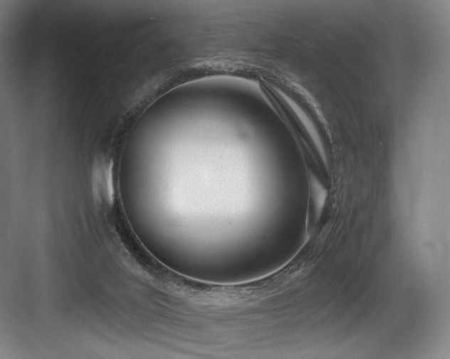 X0000083660020200702121227