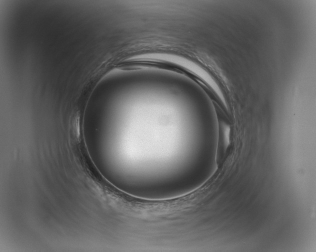X0000083660021200702121227