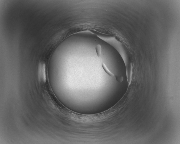 X0000083660022200702121227