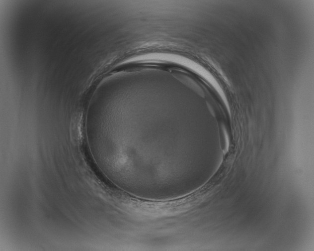 X0000083660023200702121227