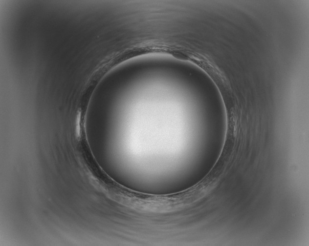 X0000083660024200702121227