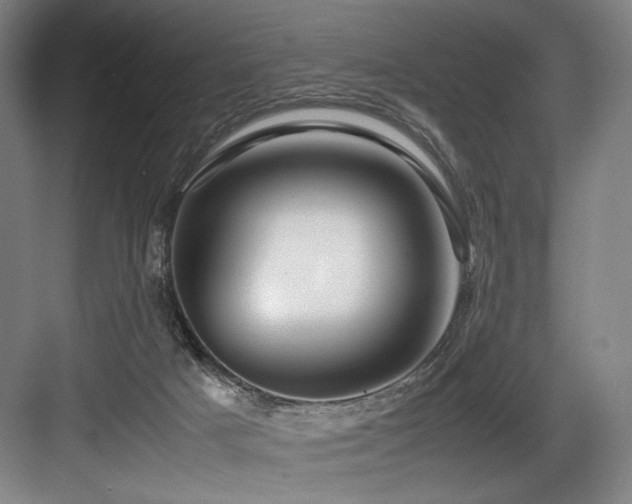X0000083660025200702121227