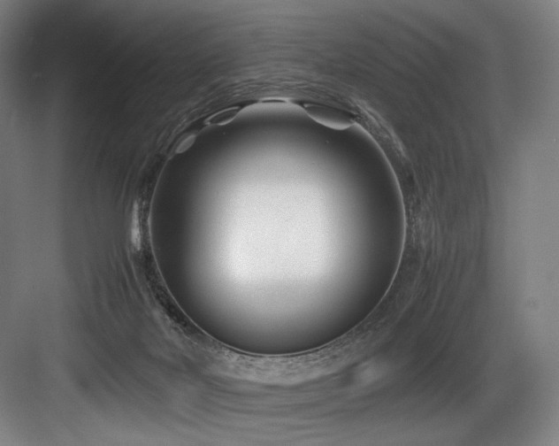 X0000083660026200702121227