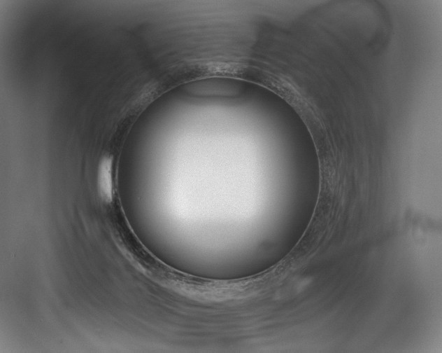 X0000083660028200702121227