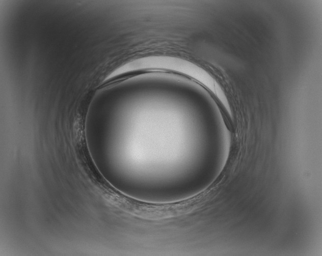 X0000083660029200702121227