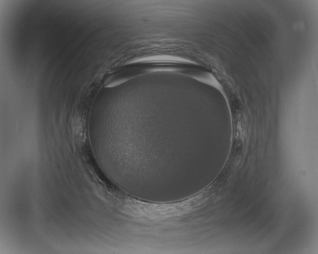 X0000083660031200702121227