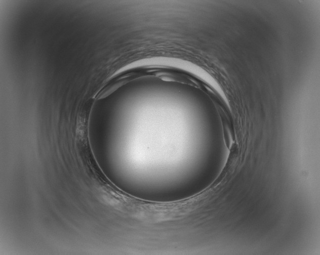 X0000083660033200702121227