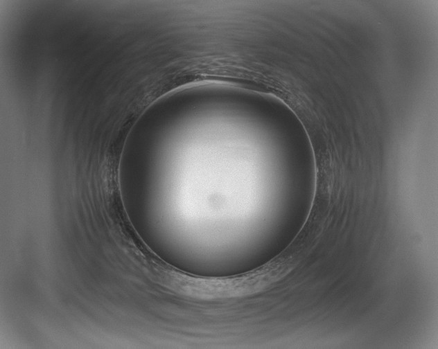 X0000083660034200702121227