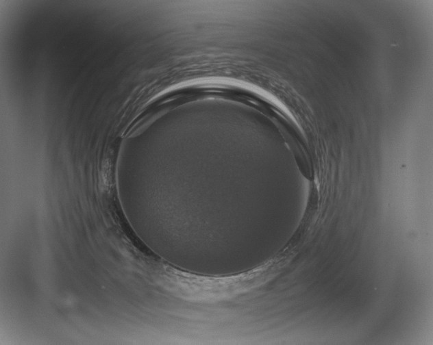 X0000083660035200702121227