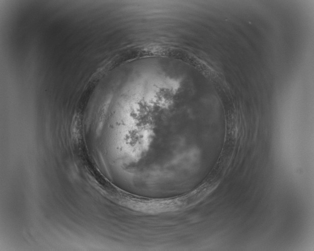 X0000083660036200702121227