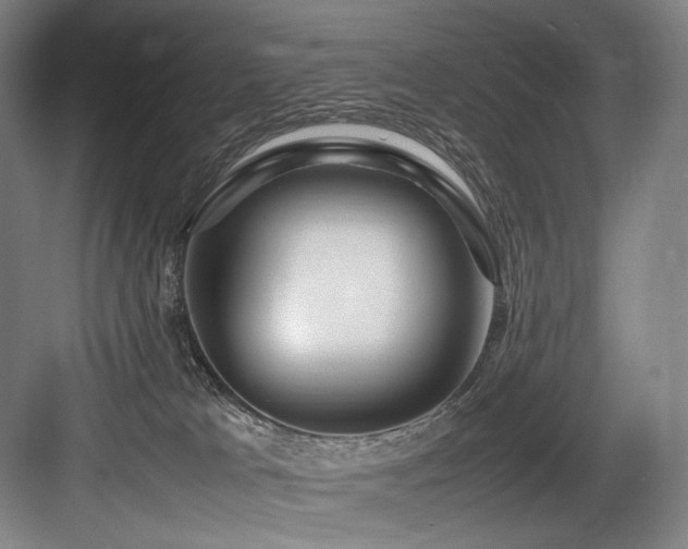 X0000083660037200702121227