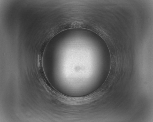 X0000083660038200702121227
