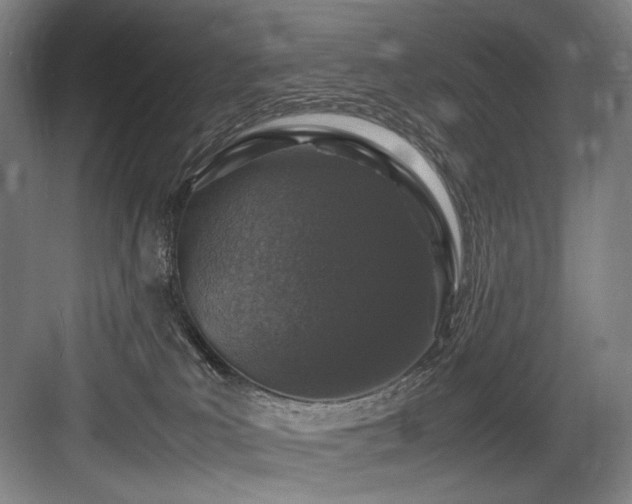 X0000083660039200702121227