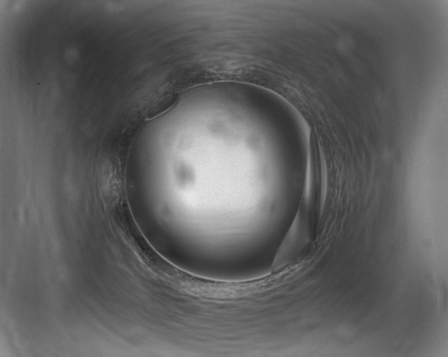 X0000083660040200702121227