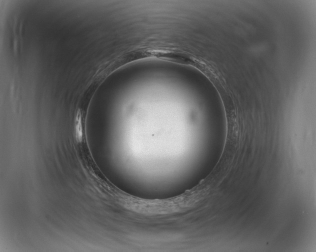 X0000083660042200702121227