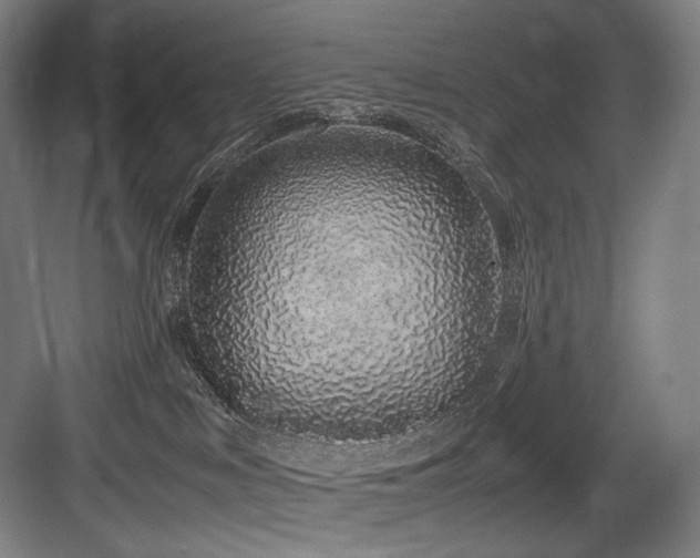 X0000083660043200702121227
