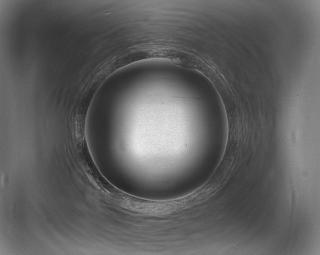X0000083660044200702121227