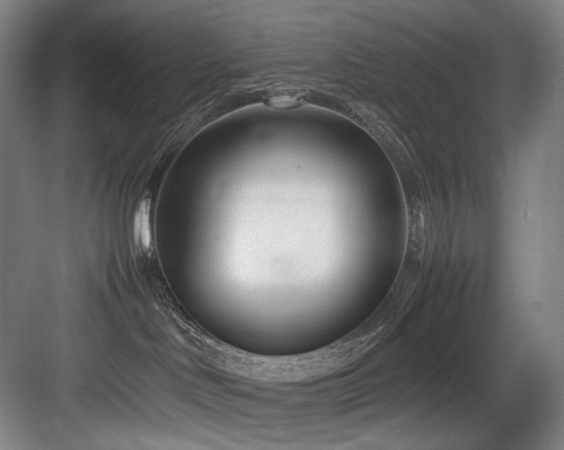 X0000083660046200702121227