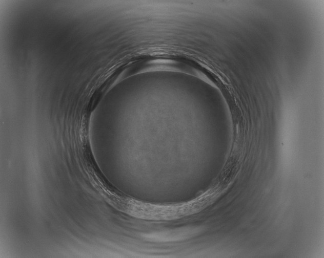 X0000083660048200702121227