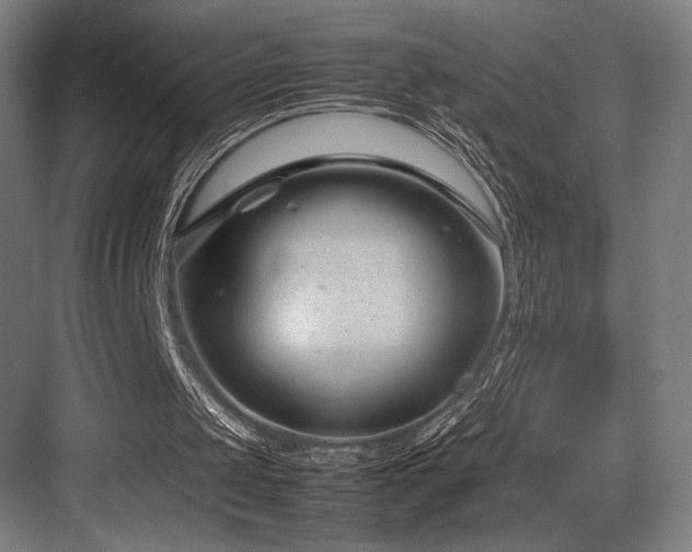 X0000083660049200702121226