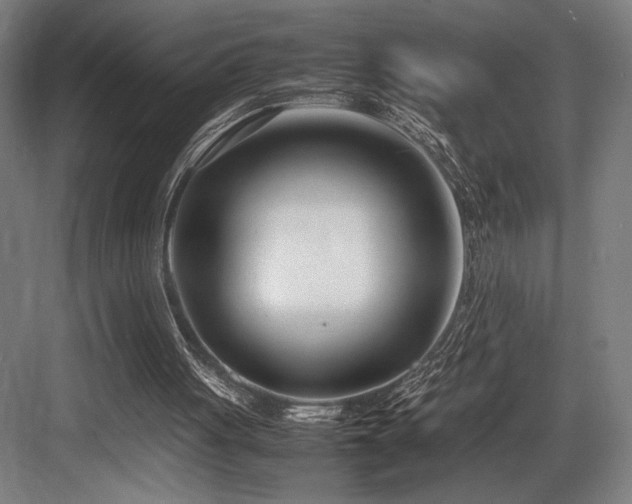 X0000083660051200702121226