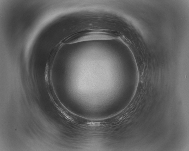 X0000083660052200702121226