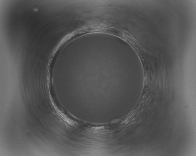 X0000083660054200702121226