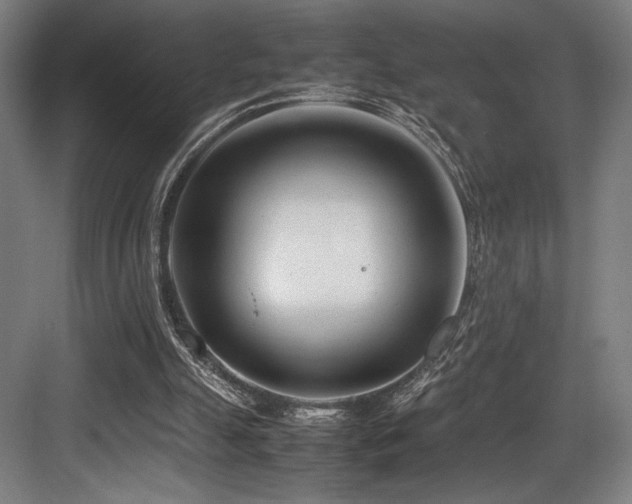 X0000083660055200702121226