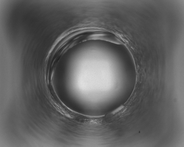 X0000083660056200702121226