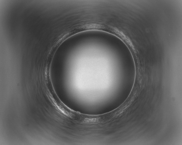 X0000083660057200702121226