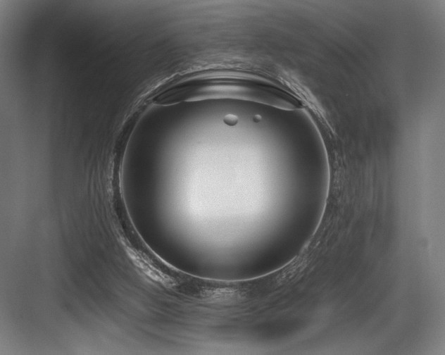 X0000083660058200702121226