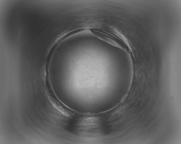 X0000083660059200702121226