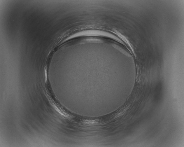 X0000083660061200702121226