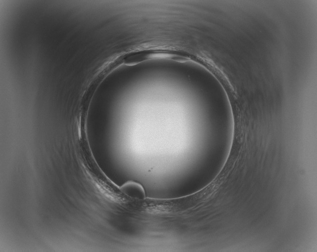 X0000083660062200702121226
