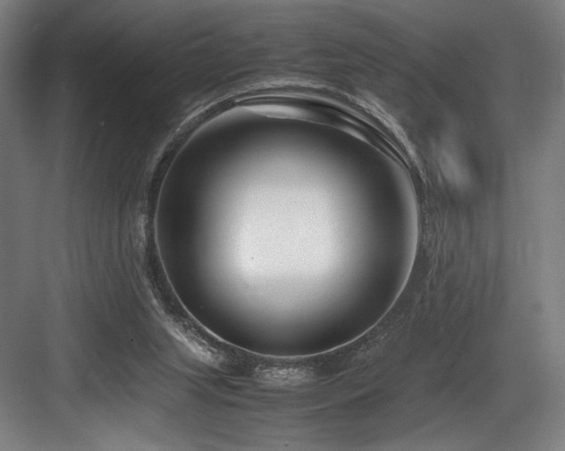 X0000083660063200702121226
