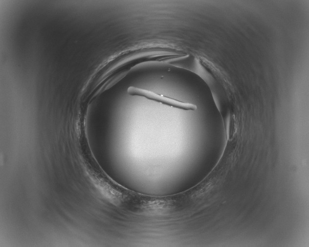 X0000083660064200702121226