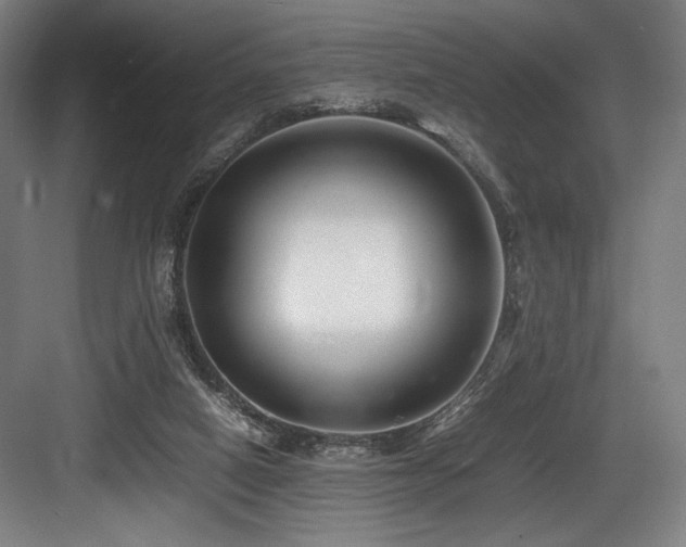 X0000083660066200702121227
