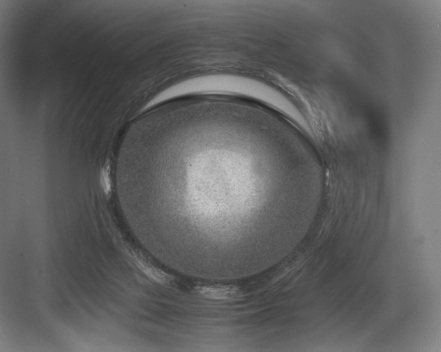 X0000083660069200702121227