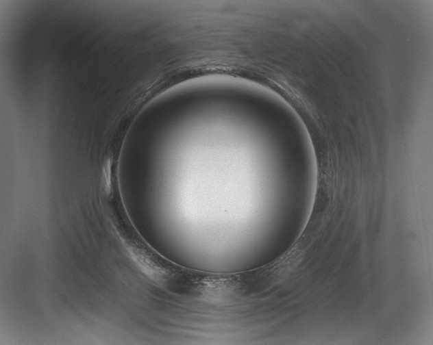 X0000083660070200702121227