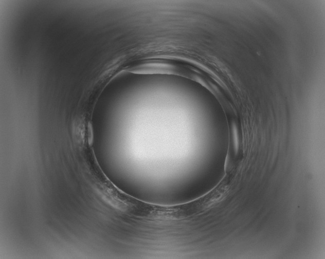 X0000083660072200702121227
