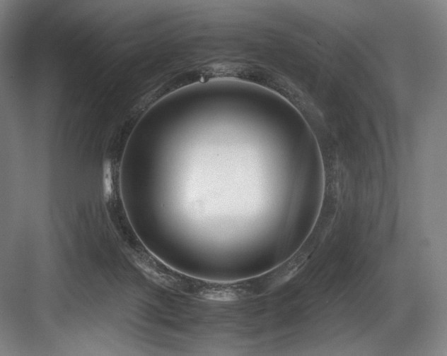 X0000083660075200702121227