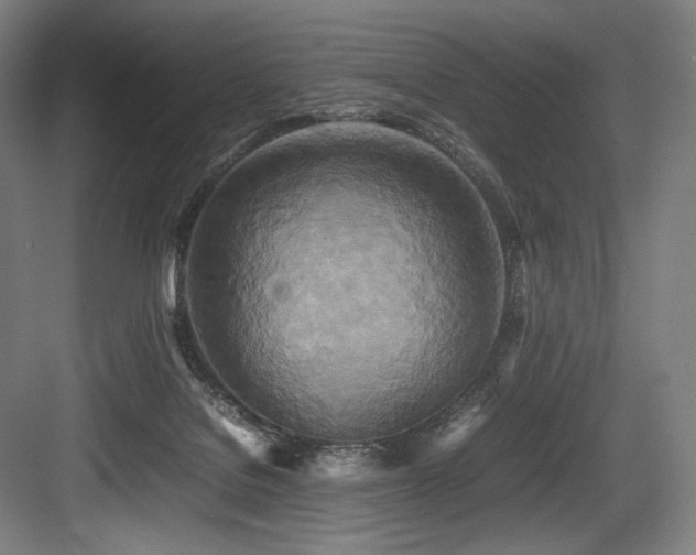 X0000083660076200702121227