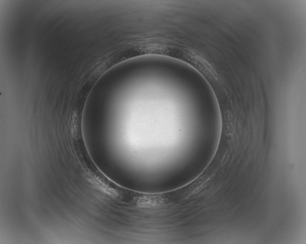 X0000083660077200702121227