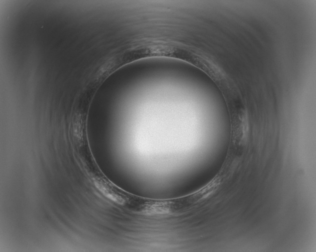 X0000083660078200702121227