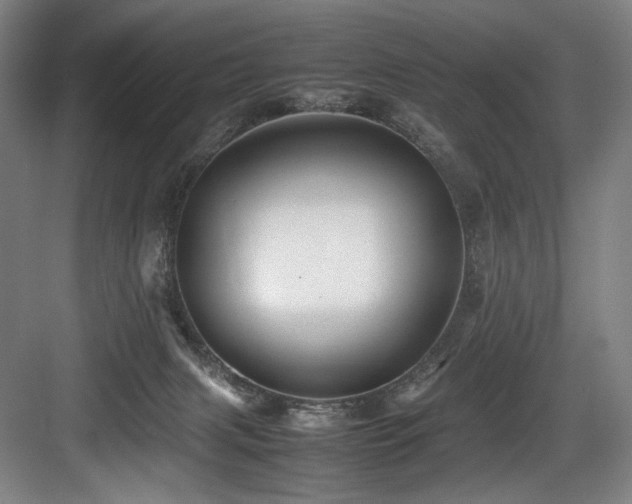 X0000083660079200702121227