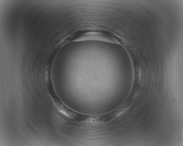 X0000083660080200702121227