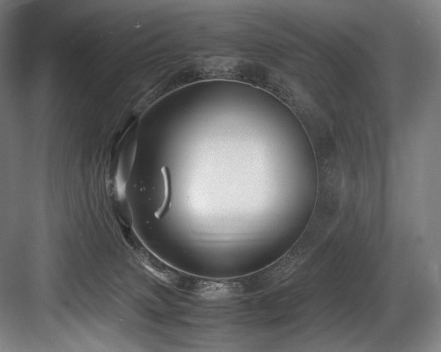 X0000083660083200702121227