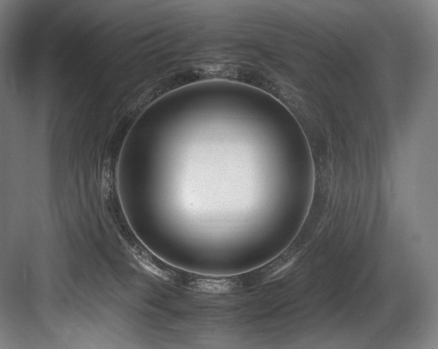 X0000083660085200702121227
