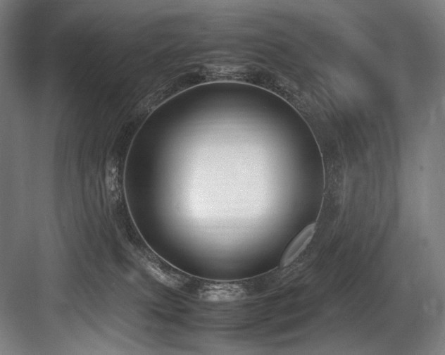 X0000083660087200702121227